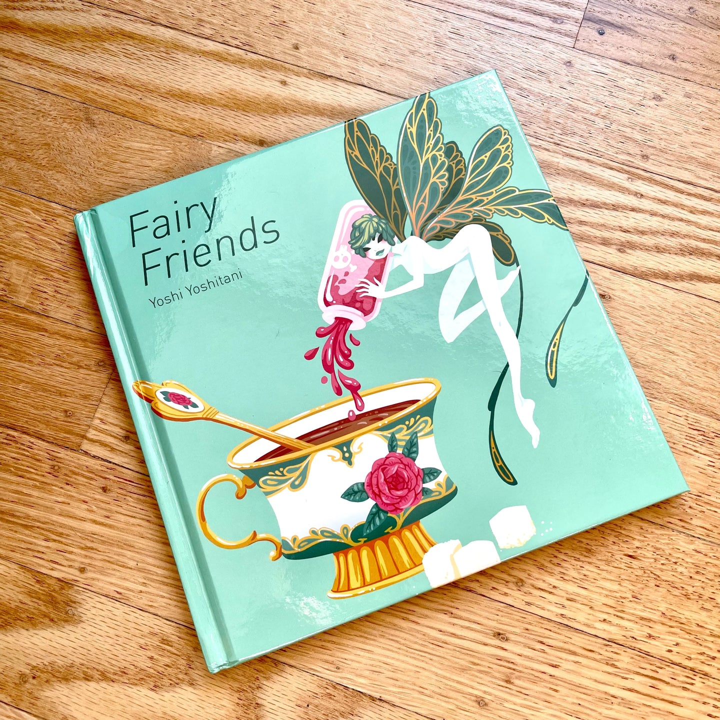 Fairy Friends Book SIGNED
