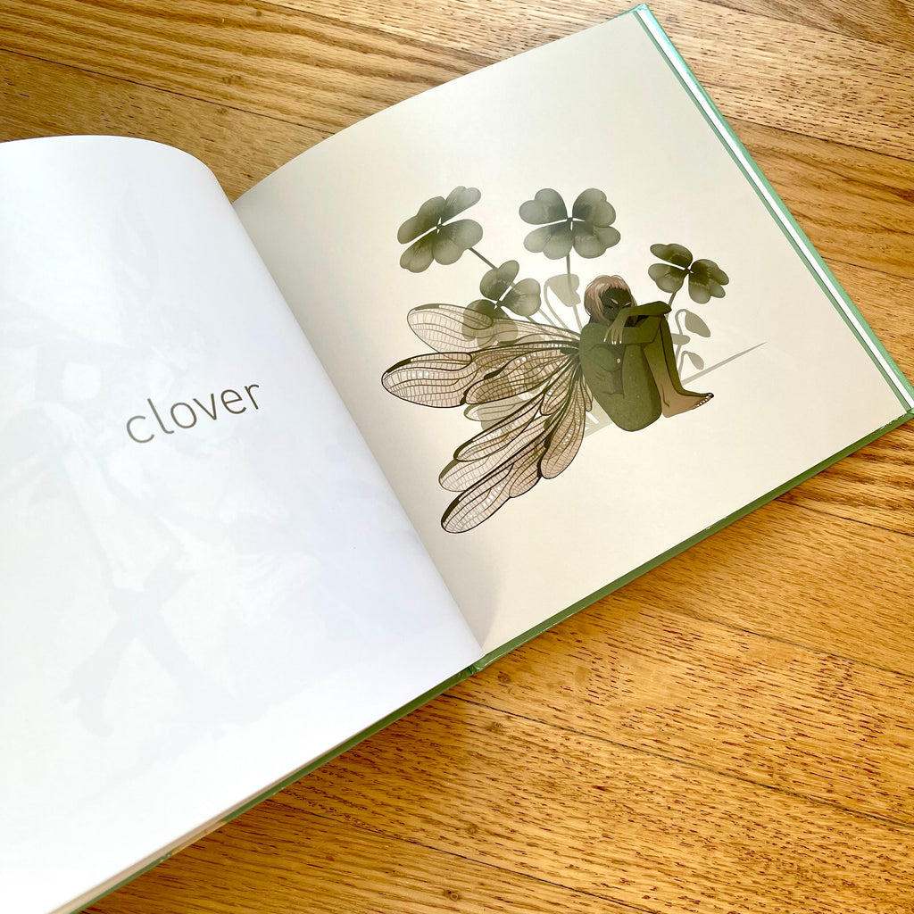 Fairy Friends Book
